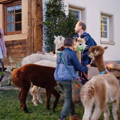 Tiere bis unters Dach (Filming)