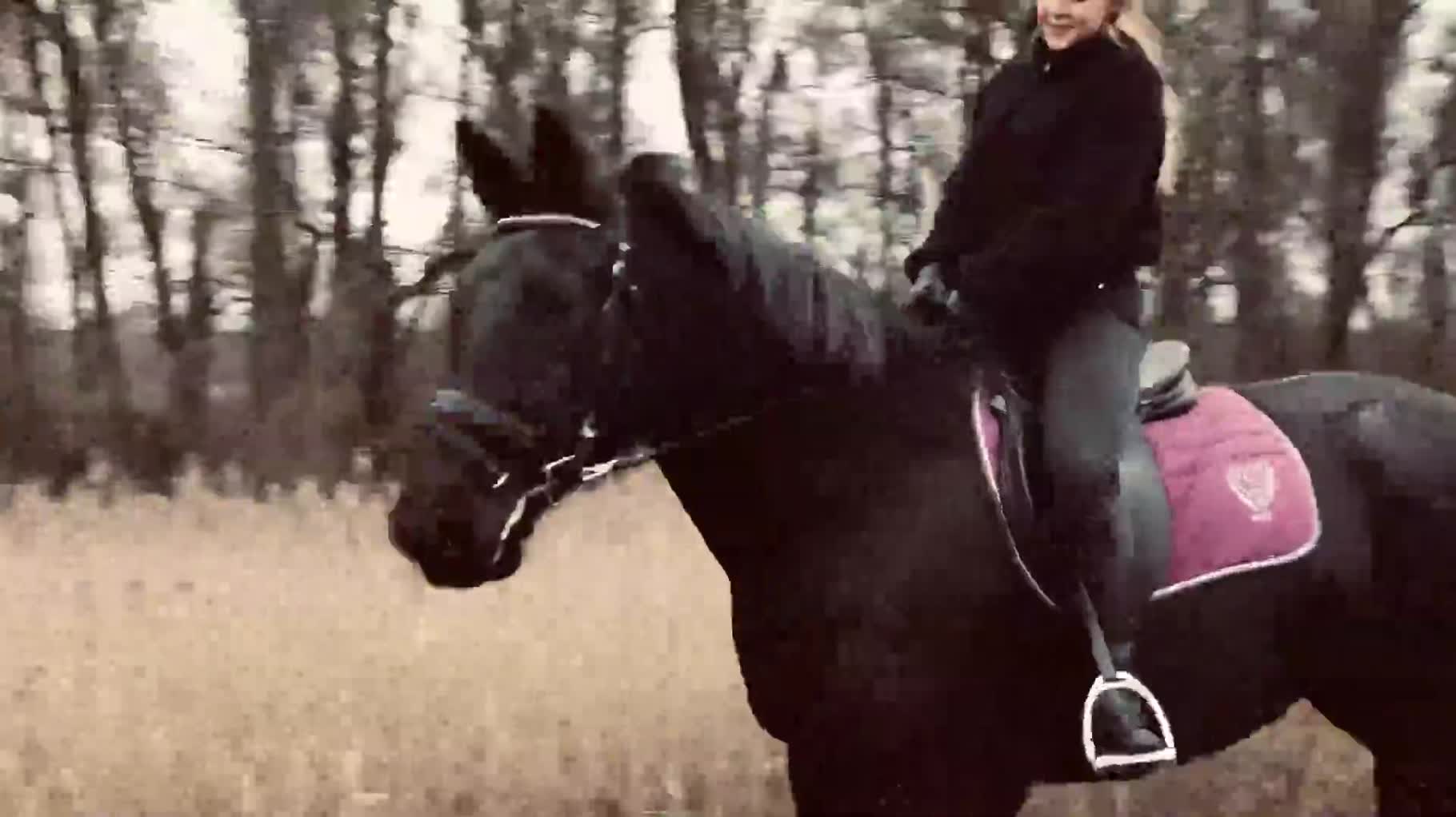 Horse riding